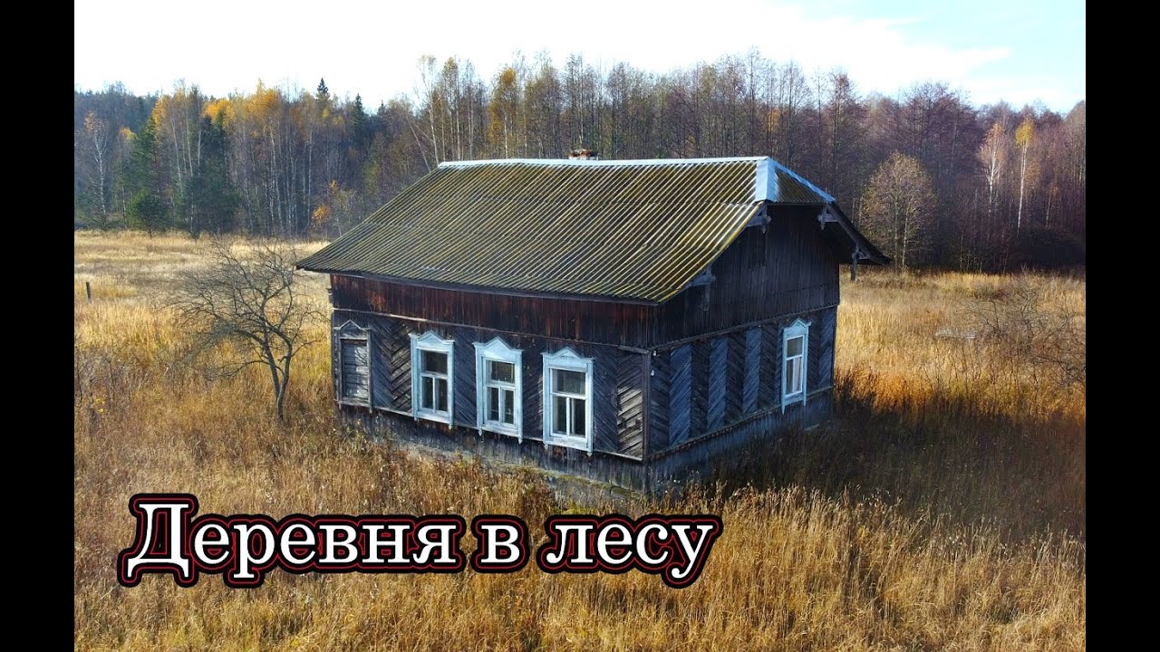ЗАБРОШЕННЫЕ И ВЫМИРАЮЩИЕ ДЕРЕВНИ. НОЧЁВКА В ЛЕСУ В МОРОЗ. Деревни в глубинке Нижегородской области.