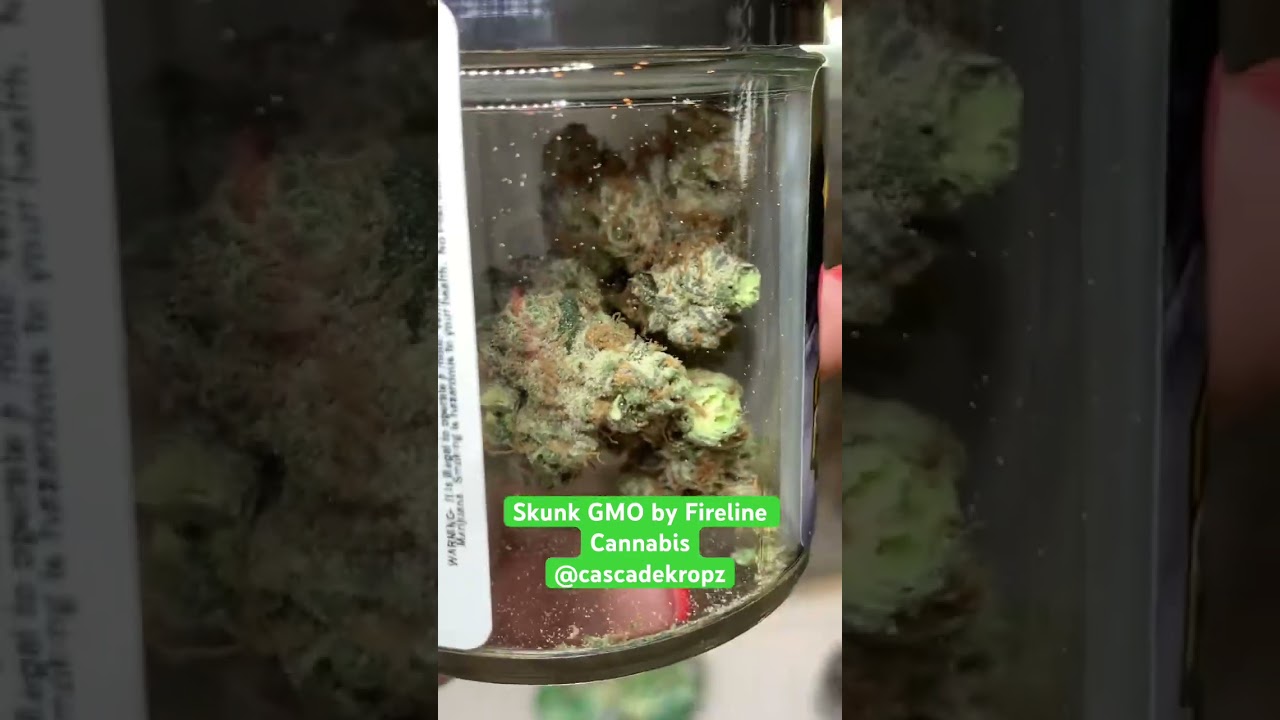 Skunk GMO by Fireline Cannabis