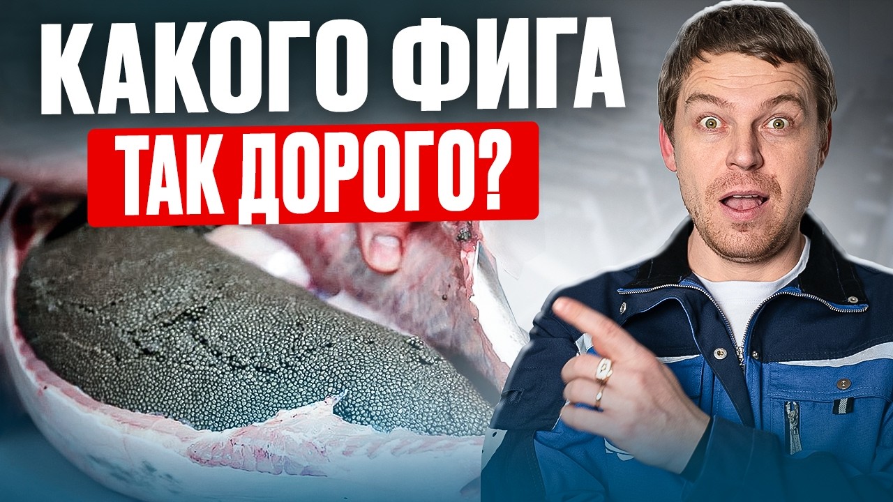 Почему черная икра ТАКАЯ ДОРОГУЩАЯ и сколько на ней можно ЗАРАБОТАТЬ? Разбираю все мифы за 10 МИНУТ