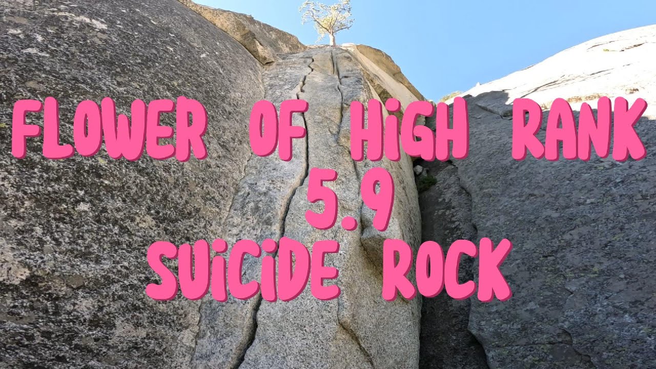 Flower of High Rank 5.9 | Suicide Rock Trad Climbing