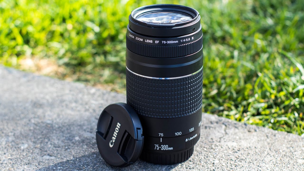 5 причин, по которым вам СТОИТ рассмотреть объектив Canon 75-300 мм!