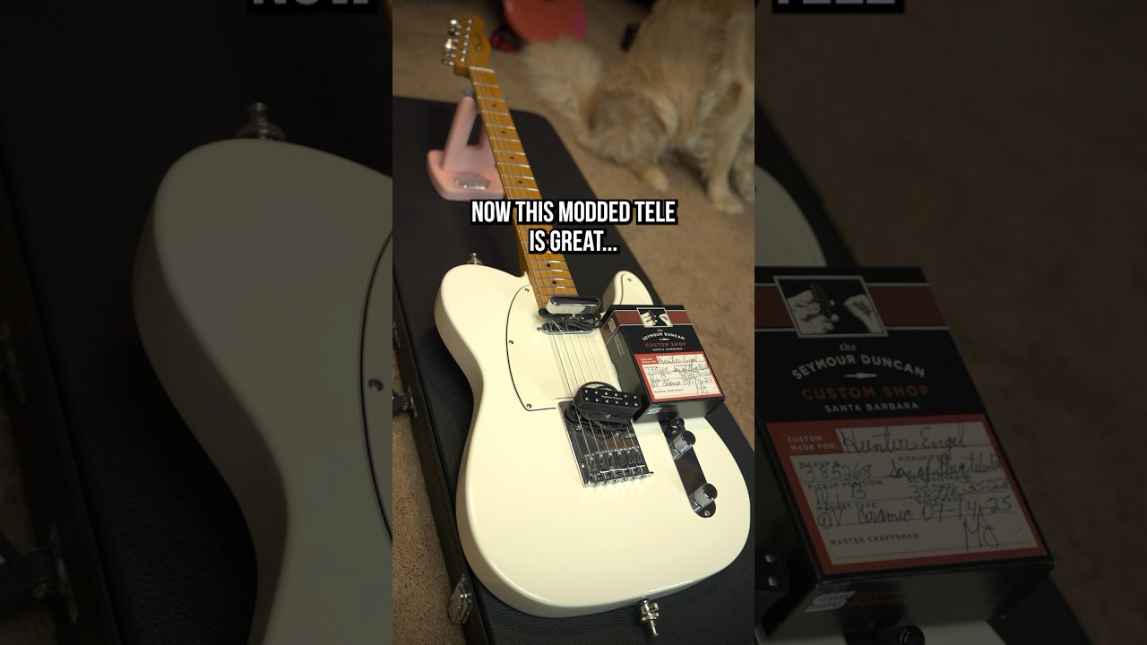 СЕЙМУР ДУНКАН СХОДИТ С УМА...