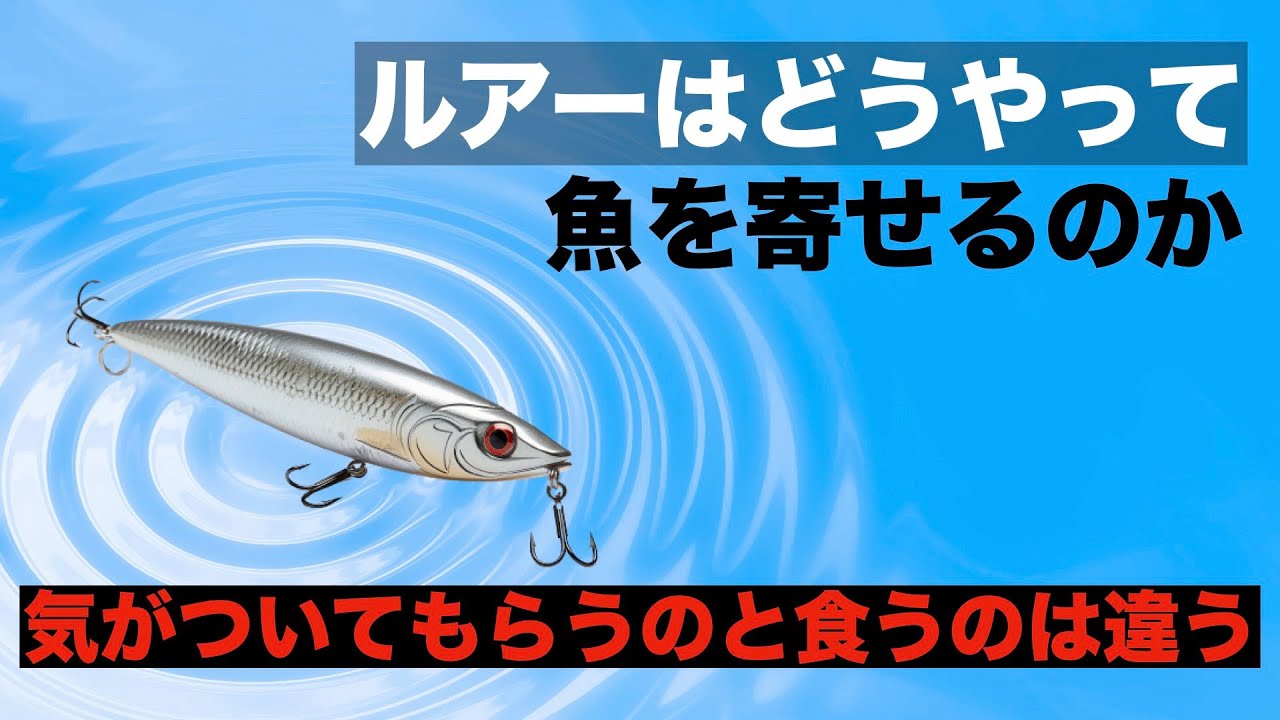 餌とはどう違う？ルアーが持つ集魚効果とはどんなものがあるのか
