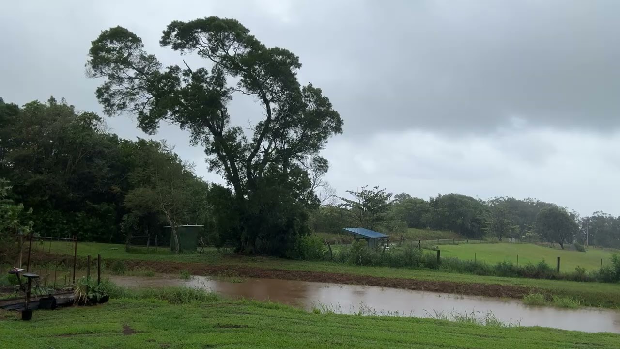 Watch the water rise - Rainy day! 
