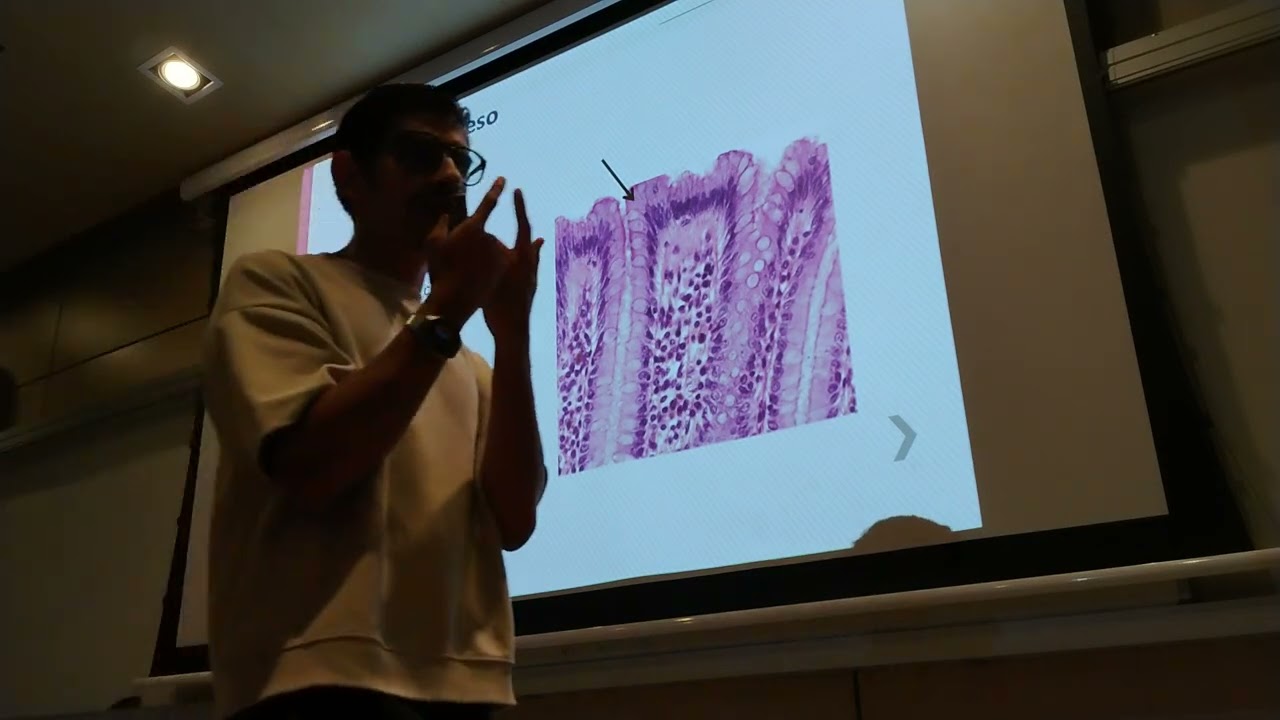 Histología intestino grueso 