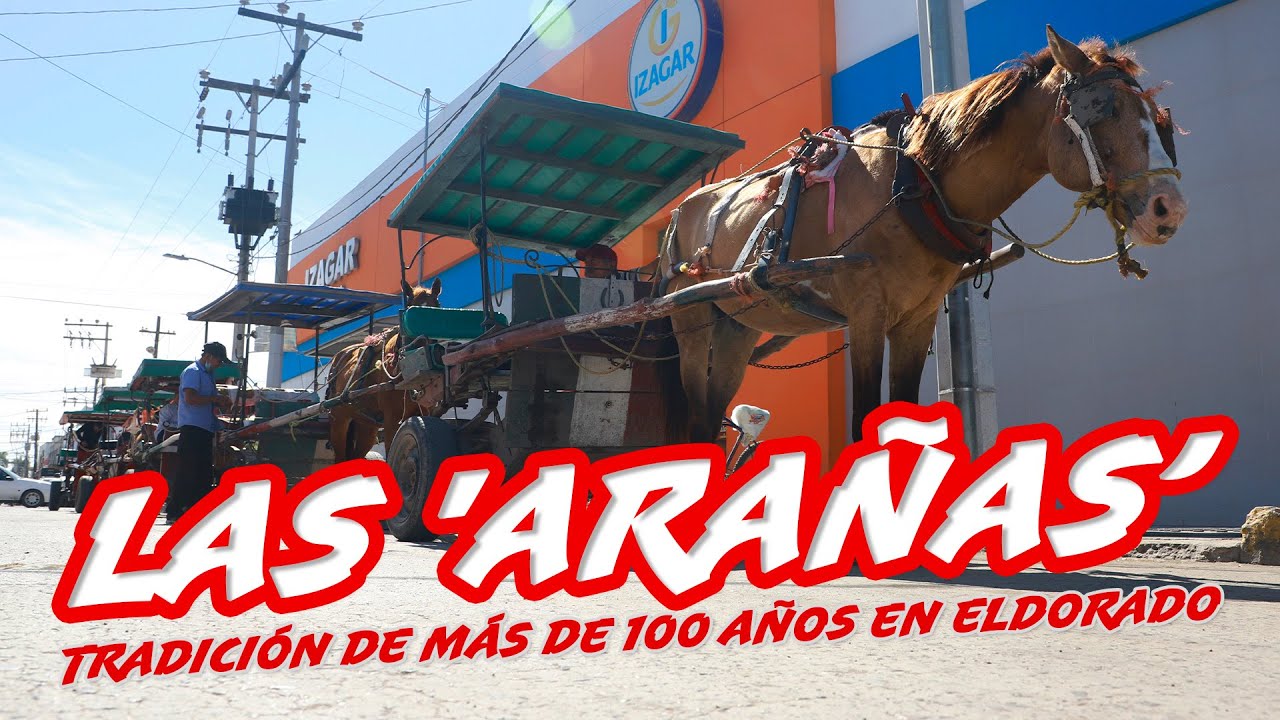 LAS 