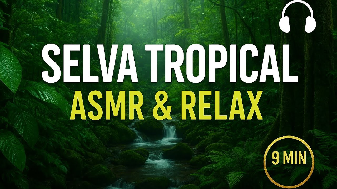 🌿 Sonidos de Selva Tropical ASMR: Relájate y Conecta con la Naturaleza de Costa Rica 🌿