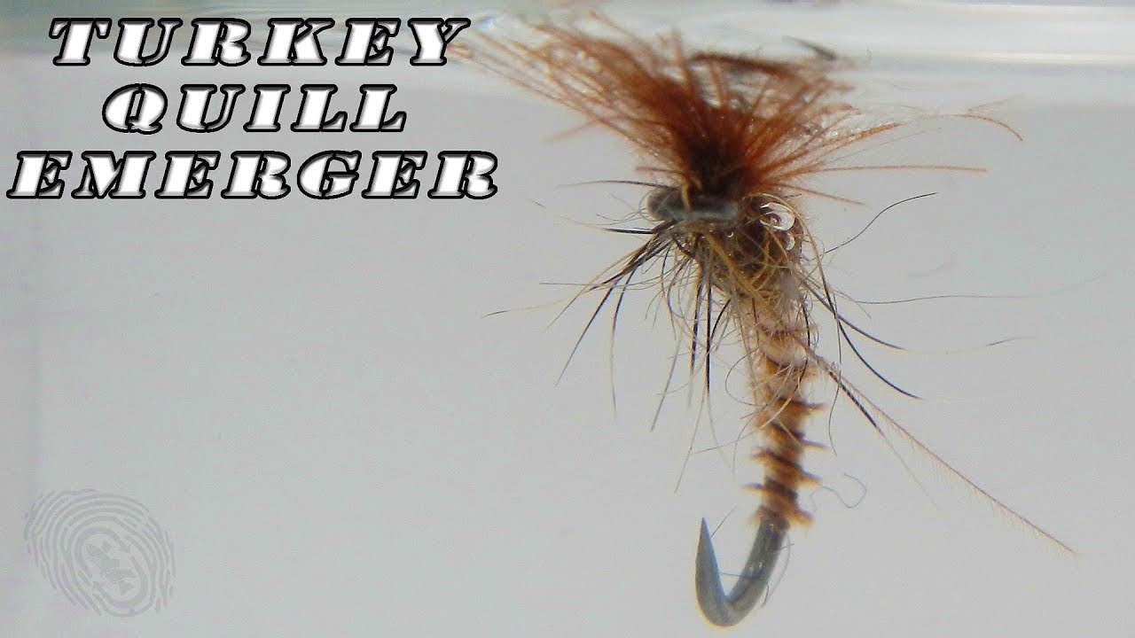 Fly tying: Turkey quill emerger dry fly
