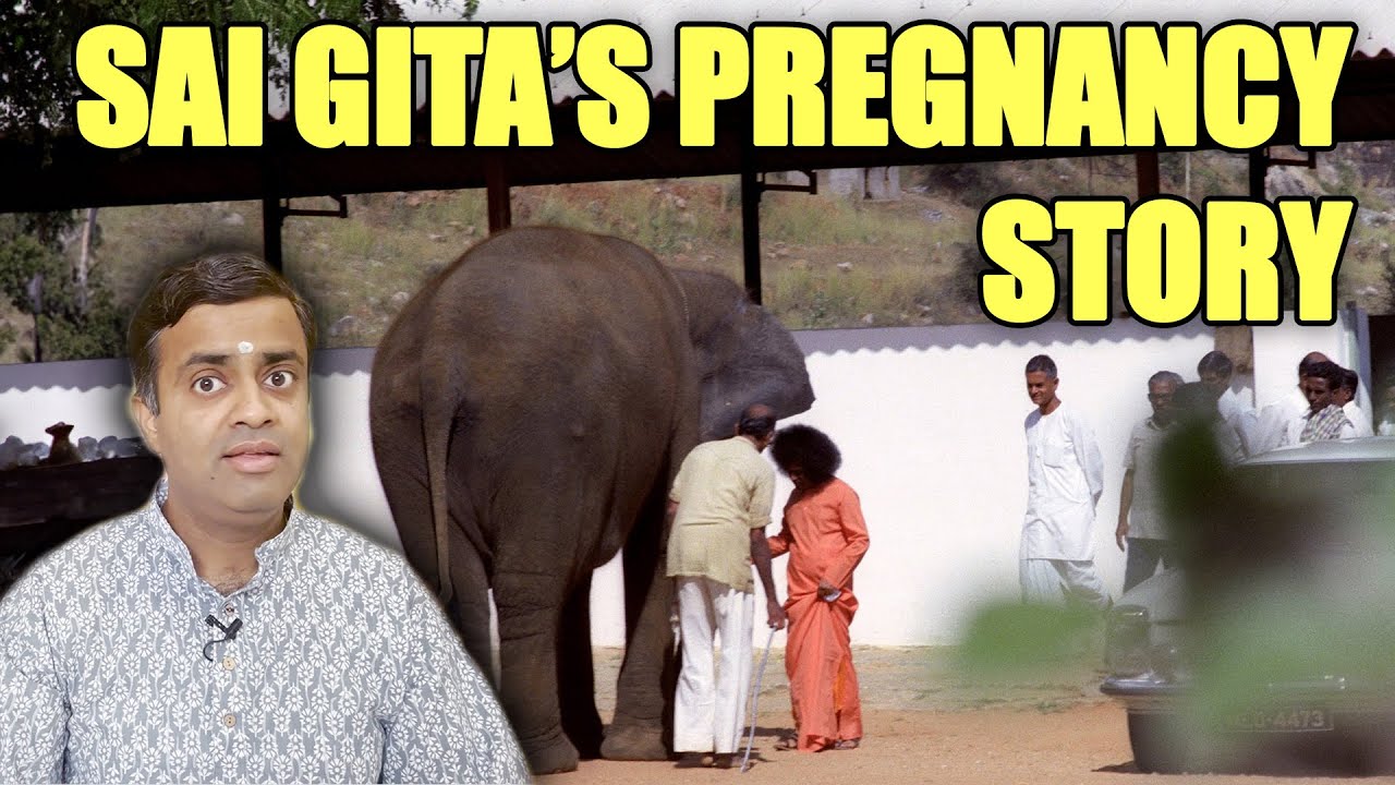 Sathya Sai Baba and His Pet Elephant Sai Gita | Miracles of Devotion