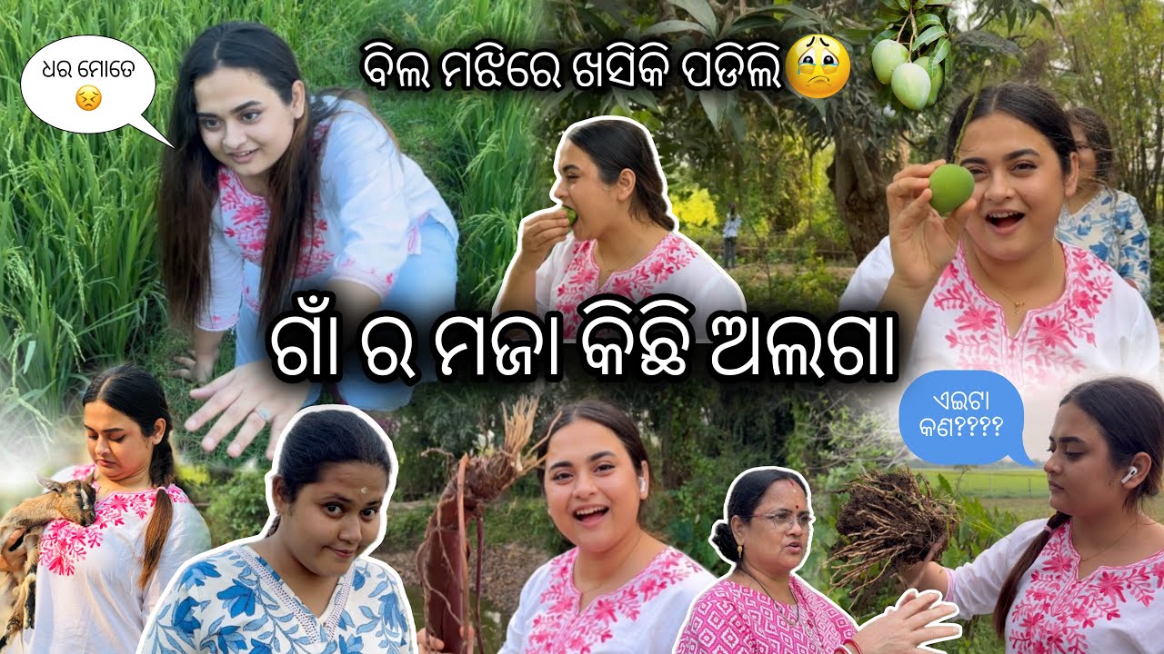 ଗାଁ ର ମଜା କିଛି ଅଲଗା || ବିଲ ମଝିରେ ଖସିକି ପଡିଲି🥺 || ଏଇଟା କୁ କଣ କୁହାଯାଏ??? || 