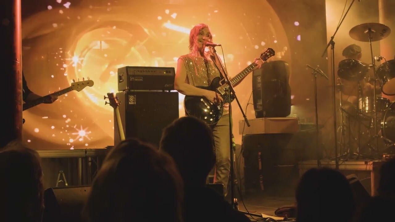 Cranes Live in Maassilo