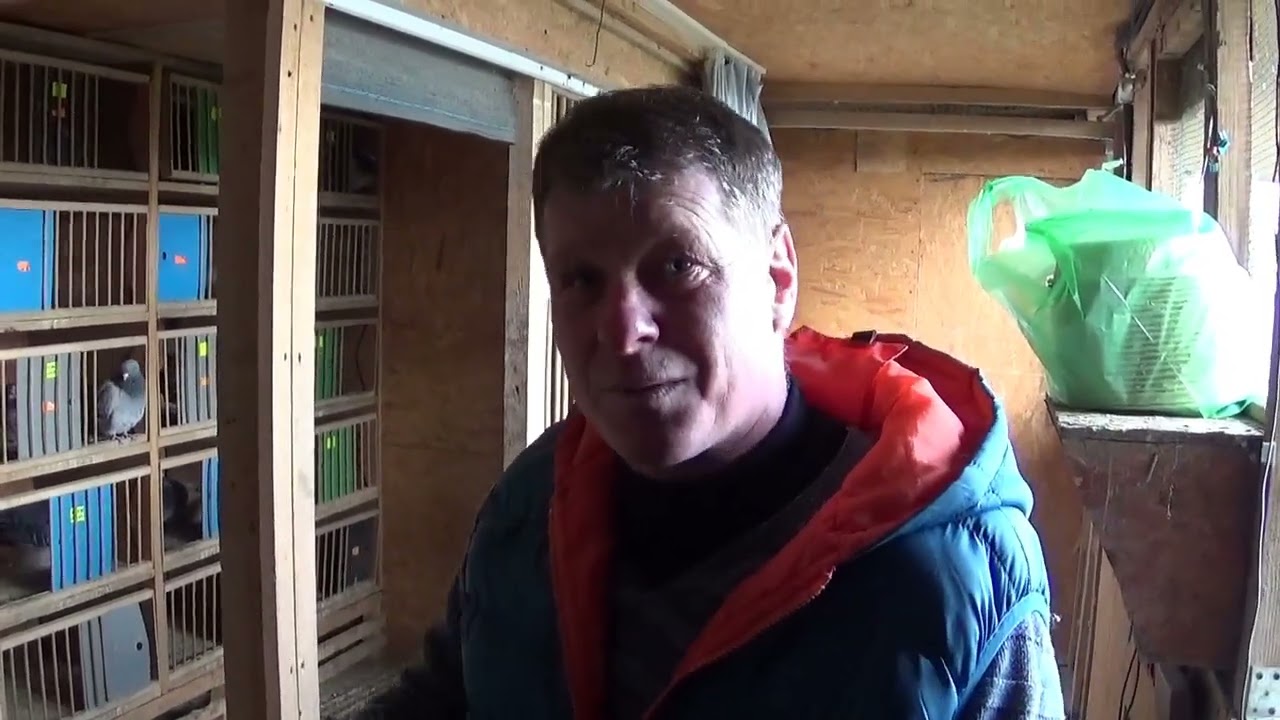 Campion columbofil dl Grigorescu Florin Ghinesti Dambovita Romania porumbei de zbor 23 martie 2021