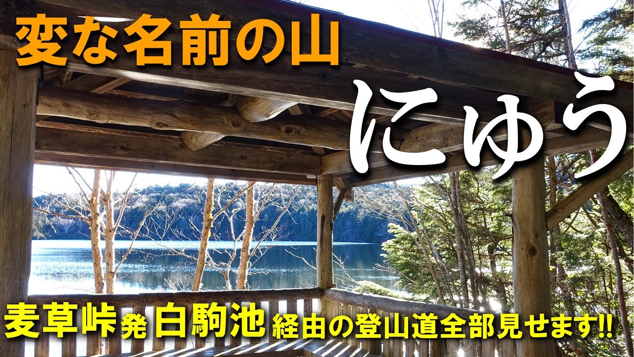 【登山体験】にゅう、八ヶ岳の変な名前の山に登ってきた！／麦草峠から白駒池経由の登山道全部見せます！／2022/11