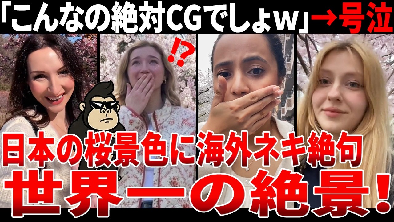 【海外の反応】「これ現実なの&hellip;？」初めて見る日本の桜に海外ネキ達がガチ号泣してしまうww