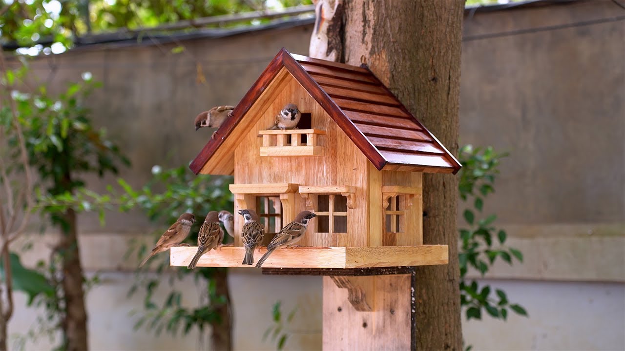 Creative DIY Bird Feeder | Easy DIY Wood Crafts 🐦🏡