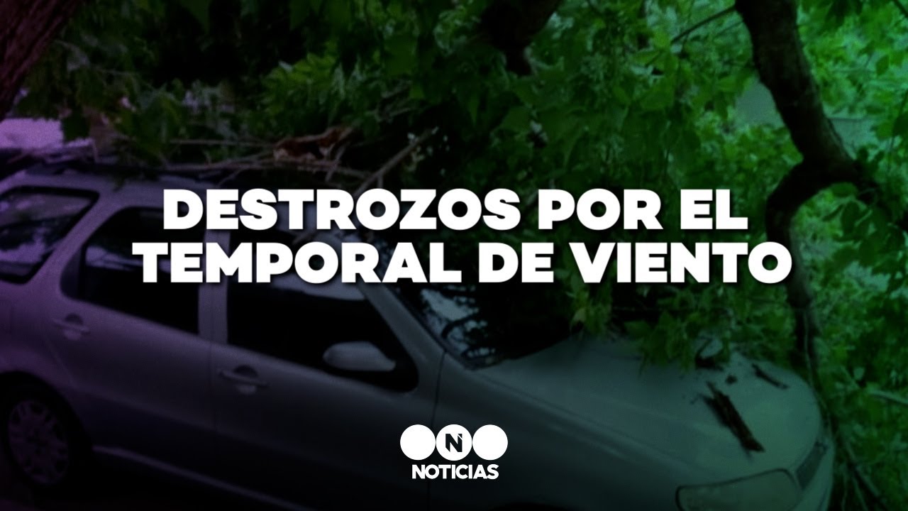 TORMENTA de VIENTO gener&oacute; CA&Iacute;DA de &Aacute;RBOLES, POSTES y VOLADURAS de TECHOS - Telefe Noticias