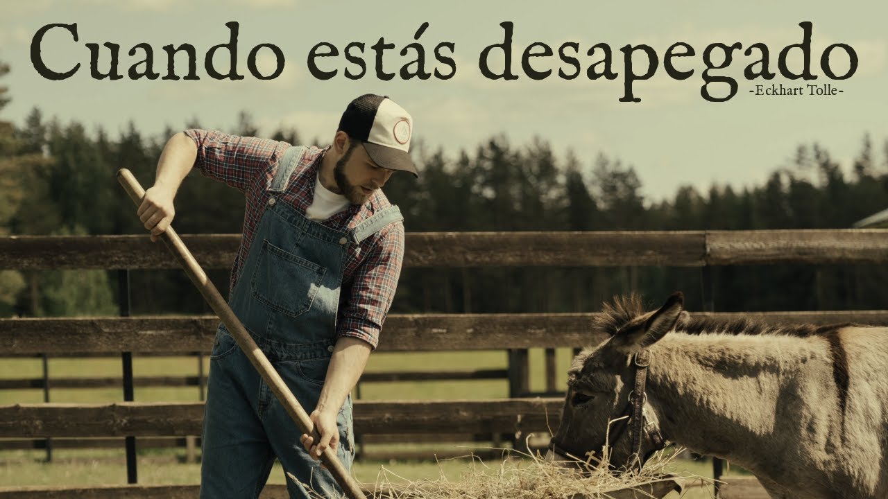 CUANDO ESTÁS DESAPEGADO - Eckhart Tolle