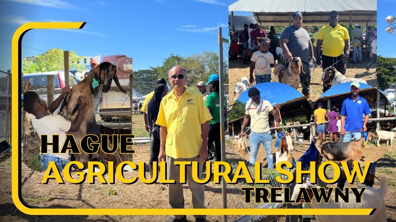 HAGUE AGRICULTURAL & INDUSTRIAL SHOW TRELAWNY 2024