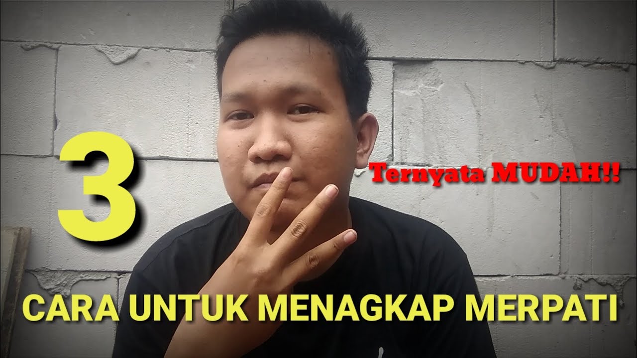 Tiga Cara menagkap burung merpati bandangan dengan mudah!.. TANG LOFT JUNIOR