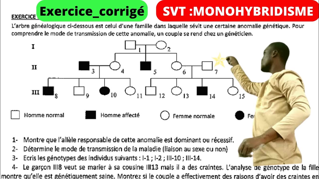 SVT||Monohybridisme