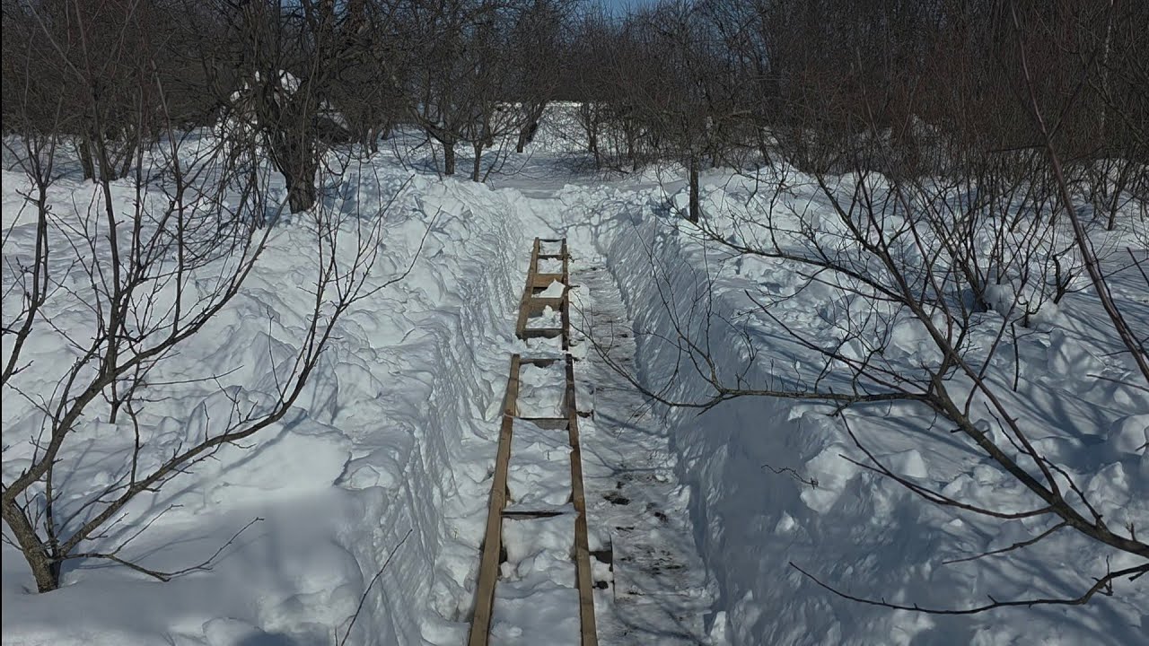 К выставке готовы