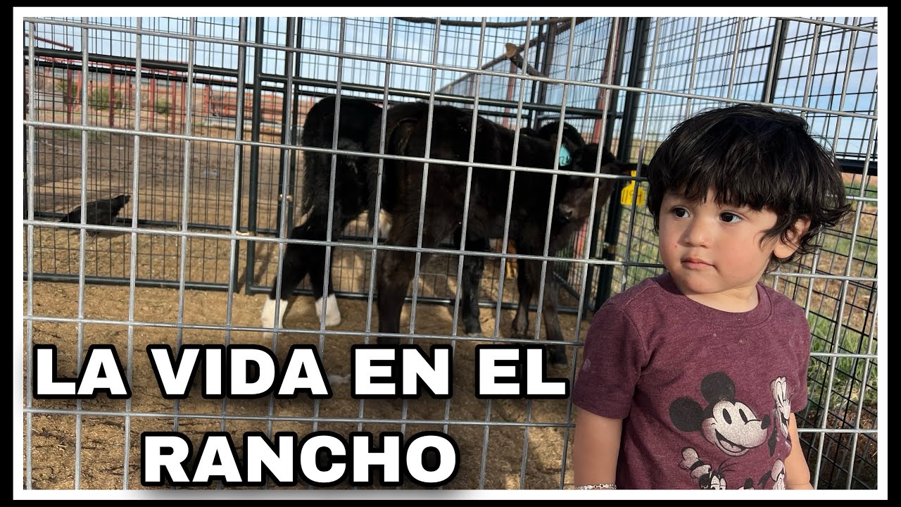 AVENTURA 296 EL PEQUEÑO AVENTURERO EN EL RANCHO