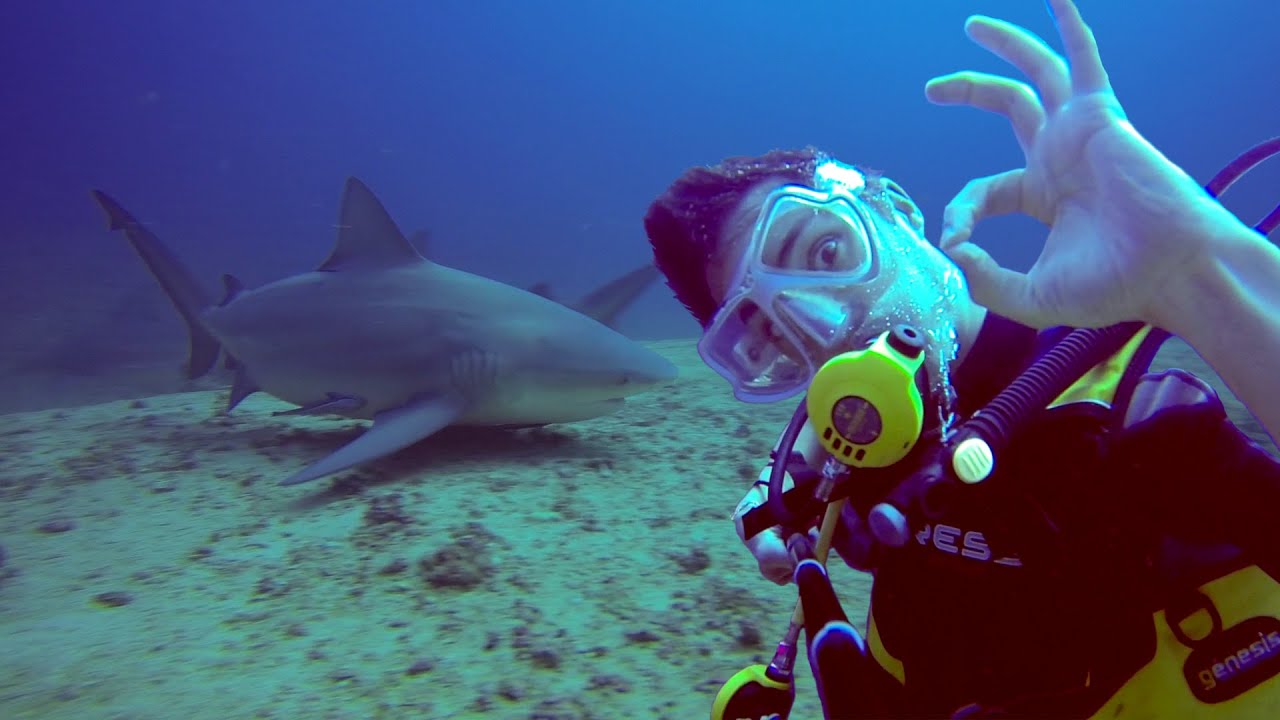J'AI PLONG&Eacute; AVEC LES REQUINS A CUBA !