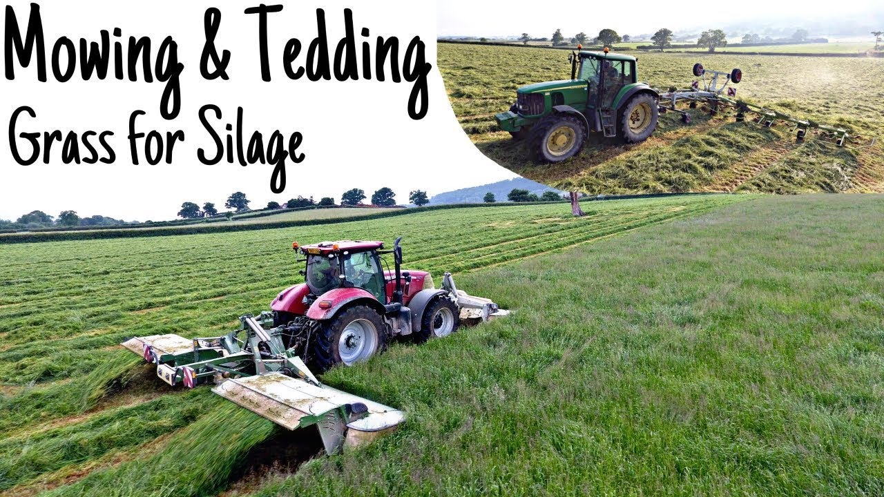 Mowing & Tedding for Silage