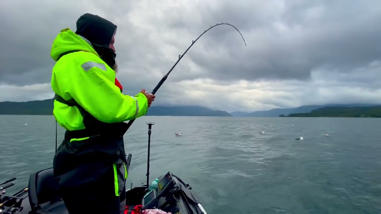 Norwegen Halsafjorden Monster Seehecht