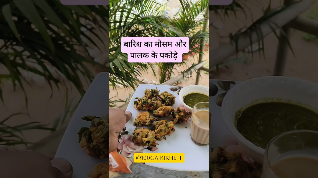 Apne Khet ki Organic Palak se Garma-Garam Pakode 🌱😋 #organicfarming #pakoda