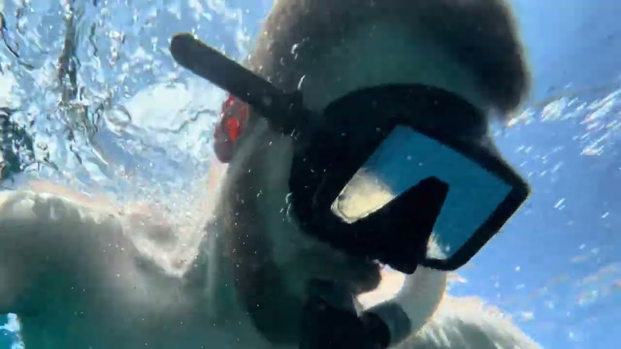 2021 Faliraki Rhodes Greece Freediving