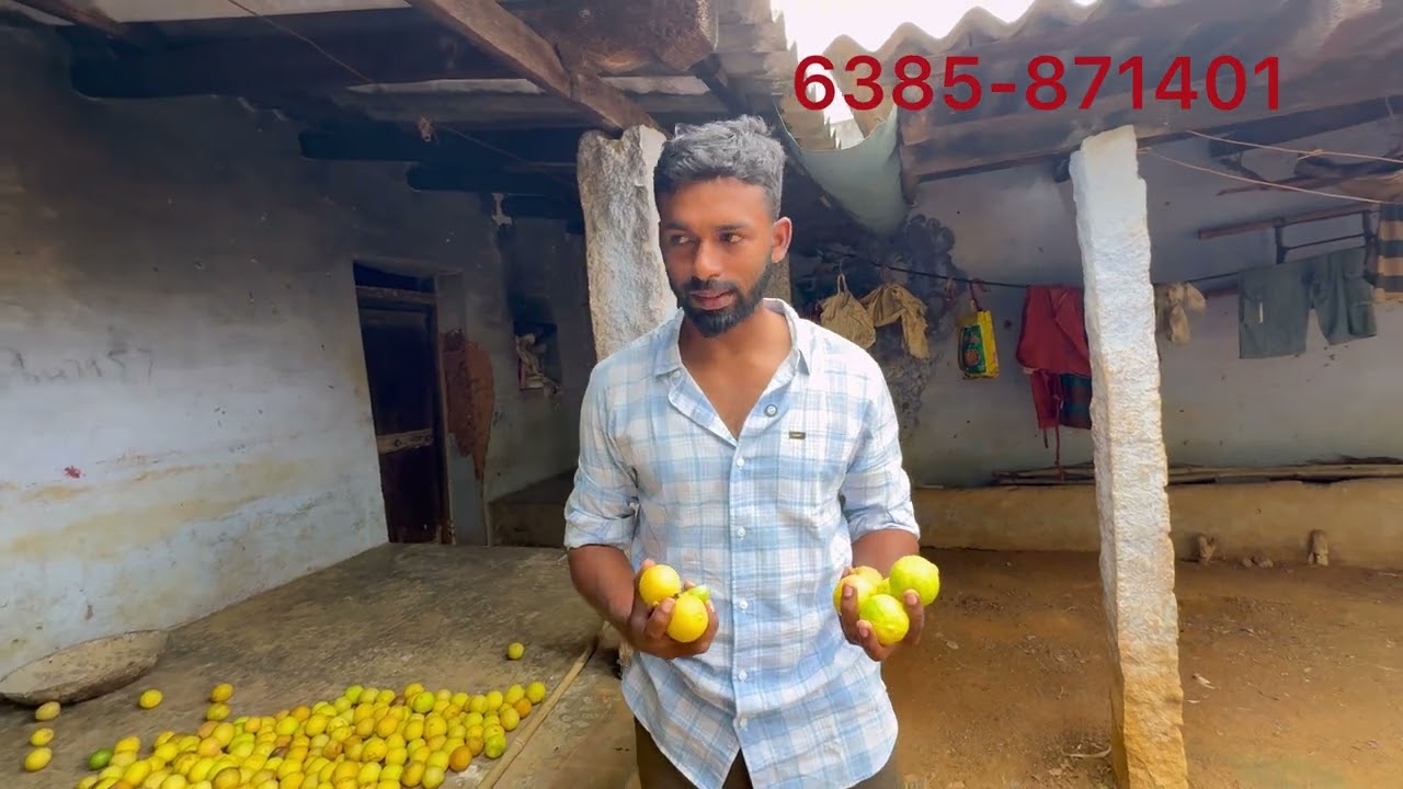 Tenkasi Mavatam in uothumalai near per cent 6000 only total 15 aker direct Oner total budget 90lakh