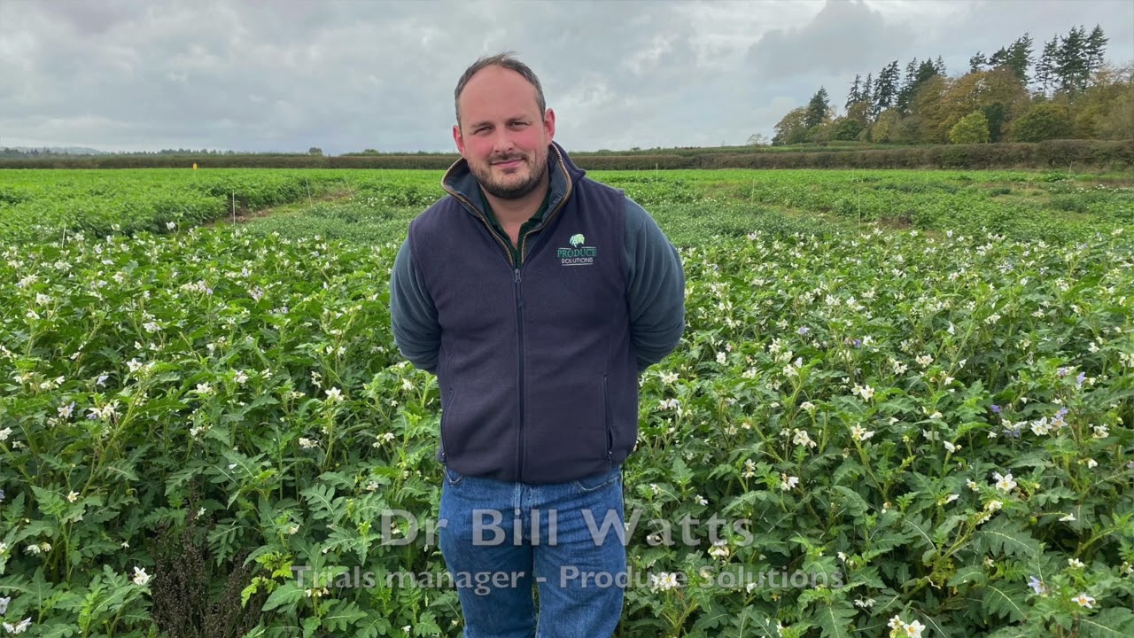An introduction to trap crops