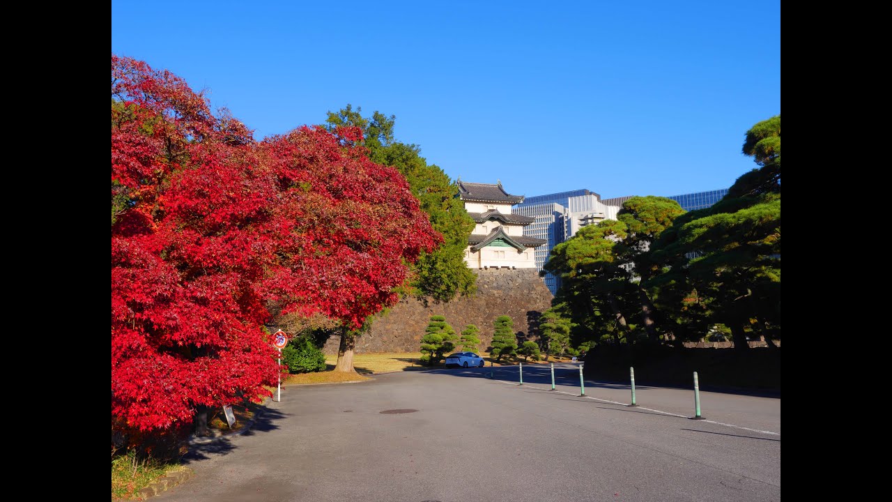 令和7年秋季皇居乾通り一般公開 2025年12月5日