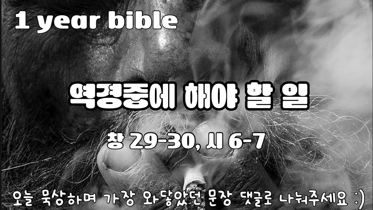 역경중에 해야 할 일 | 1 year bible | Day 15 창 29-30, 시 6-7