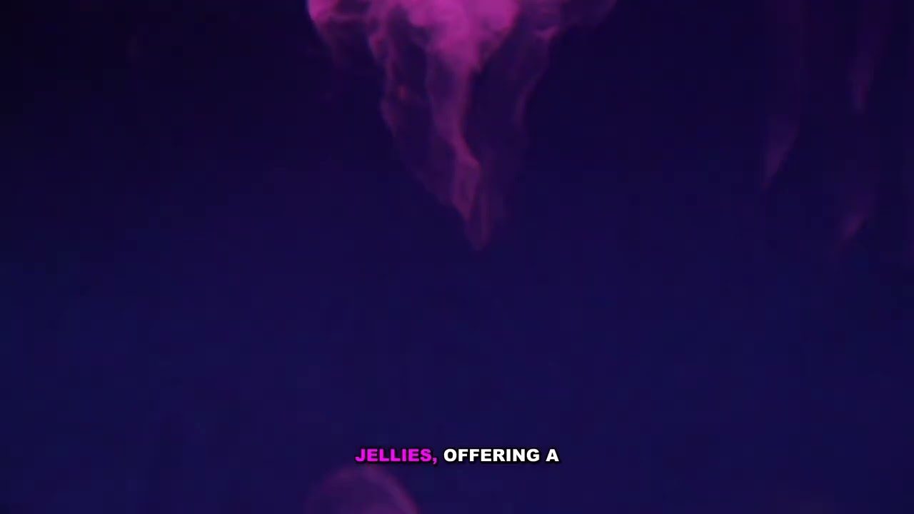 Complete Guide to Jelly Doughnut History & Filling Techniques