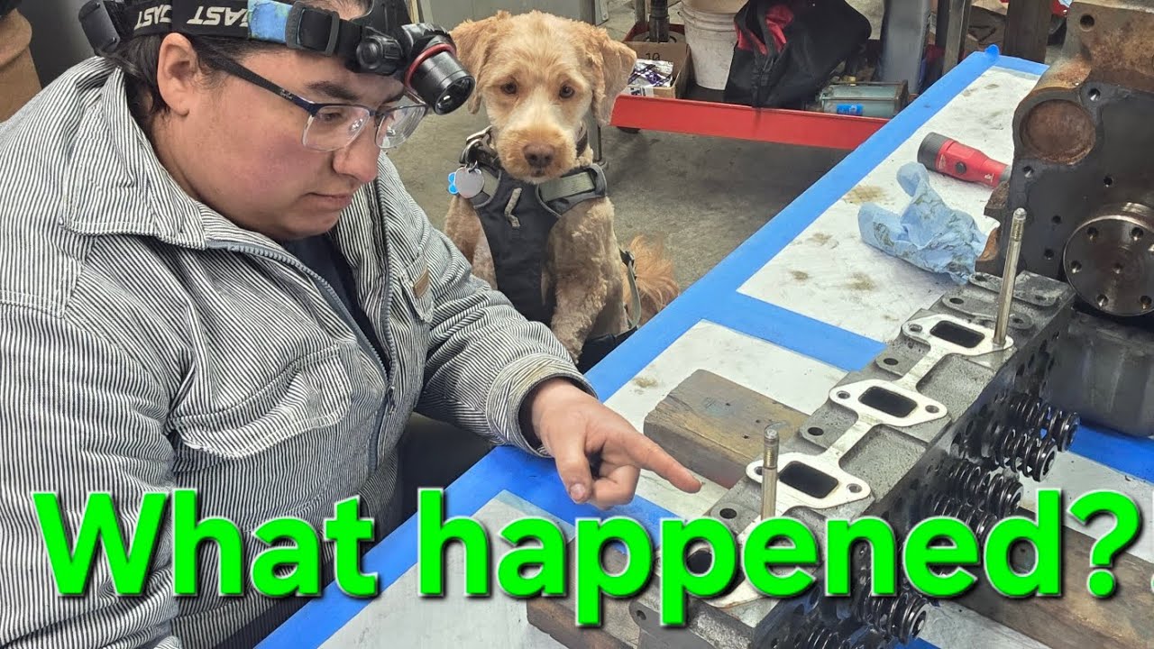 Yanmar Autopsy: Fuel killed this marine diesel?