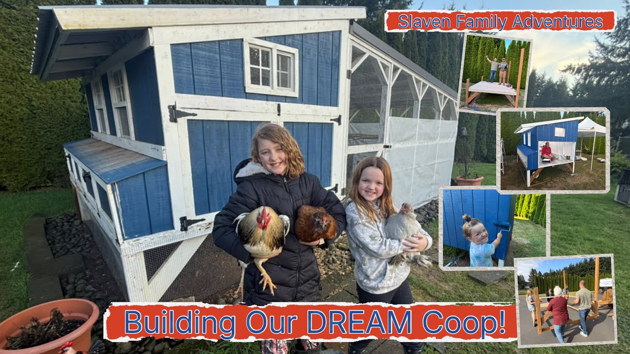 We Built the ULTIMATE Chicken Coop (16–20 Chickens) | +6 Month Update!