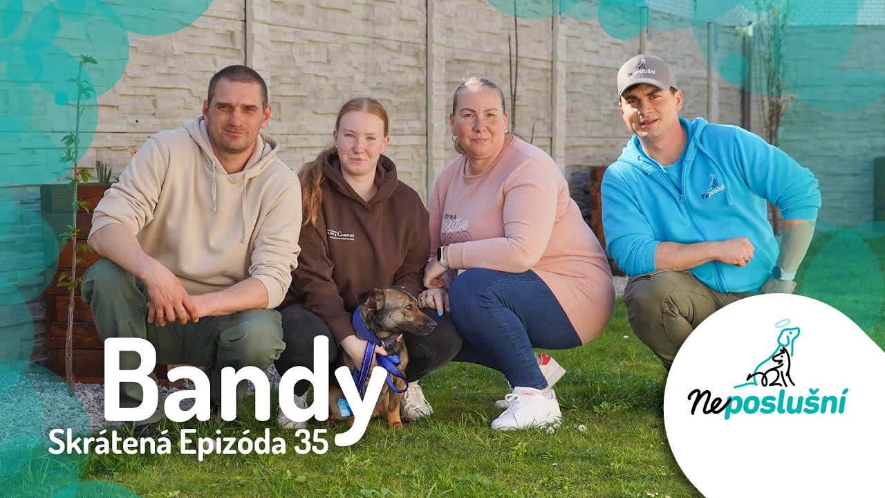 Útočný pes z útulku, BANDY (skrátené časti) NEPOSLUŠNÍ