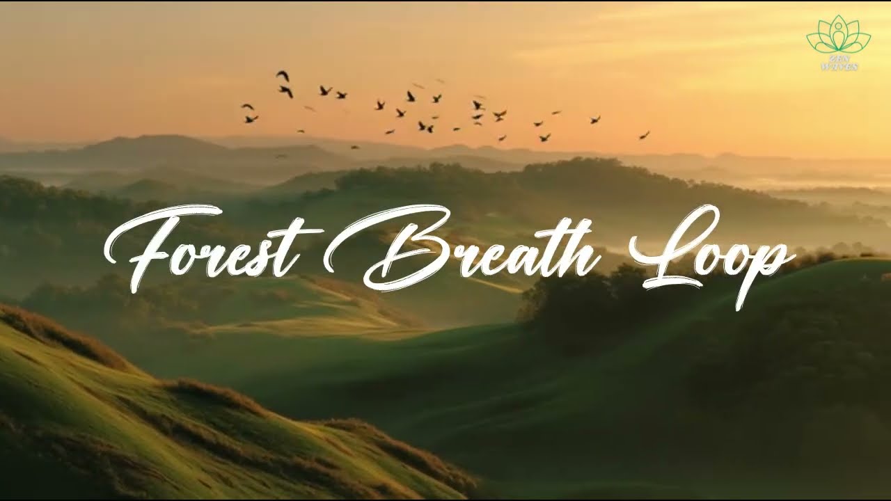 Forest Breath Loop - Gentle Nature Relaxing Music for Calm Breathing, Stress Relief