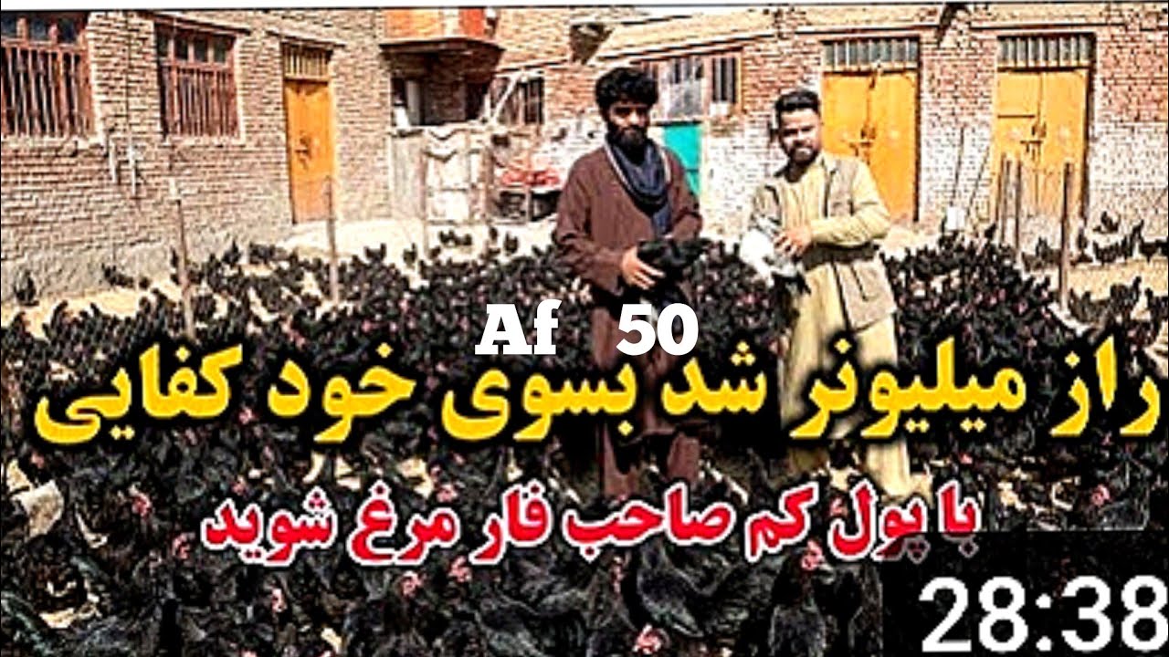 گامی به سوی خود کفایی/ تجارت که به ده مرغ آغاز شد/ حالاصاحب چندین فارم است   afghani Village 