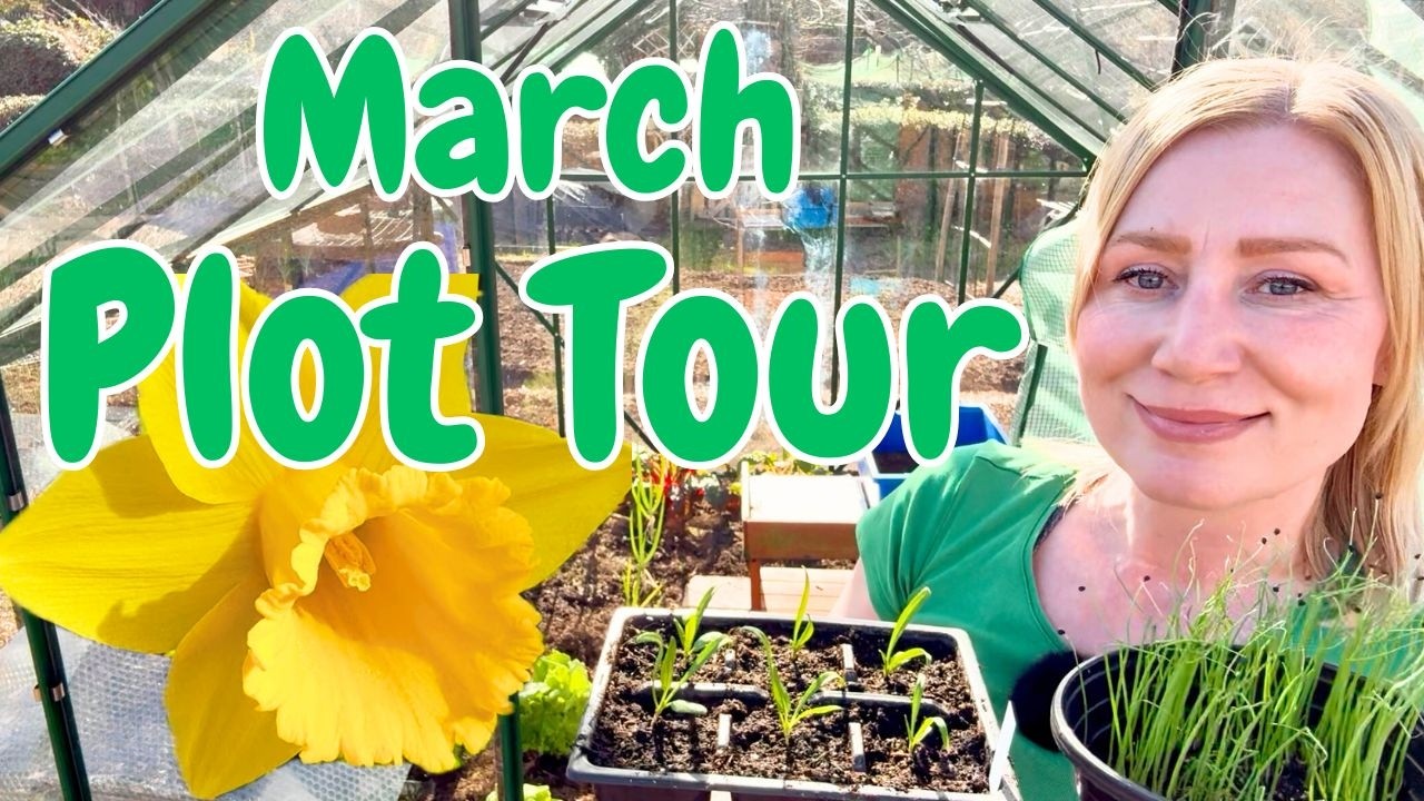 Экскурсия по огороду в марте + информация о посеве семян и рассаде 🌱