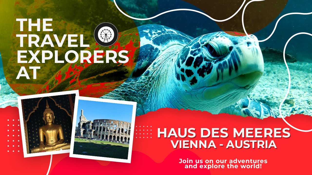 Haus des Meeres - Wien | Aquarium Zoo | 4K | Reisef&uuml;hrer