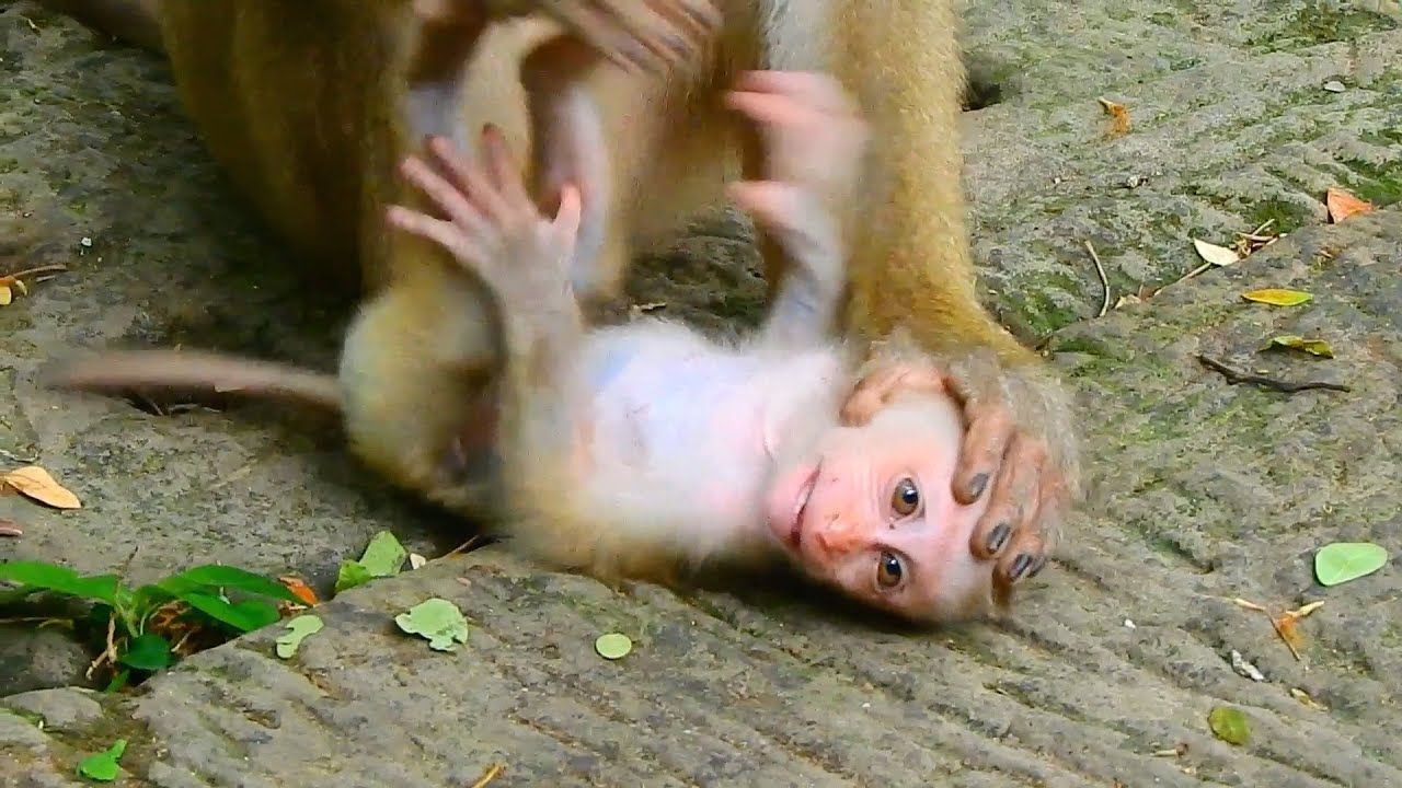 Lily real so pity push & press on her head so strong ....How mom Libby does wrong? |