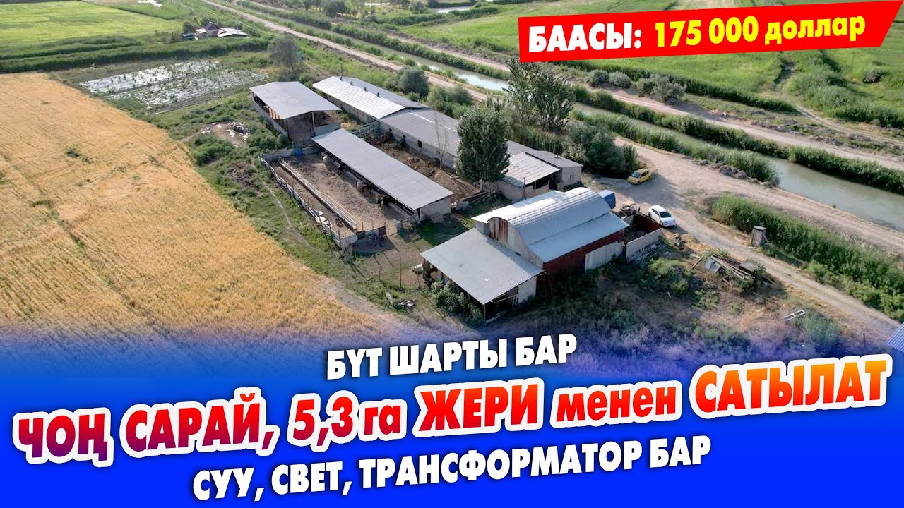 Чоң САРАЙ, 5,30 гектар айдоо ЖЕРИ менен САТЫЛАТ ~ Үй, суу, свет, трансформатор, кызыл, көк китеп бар