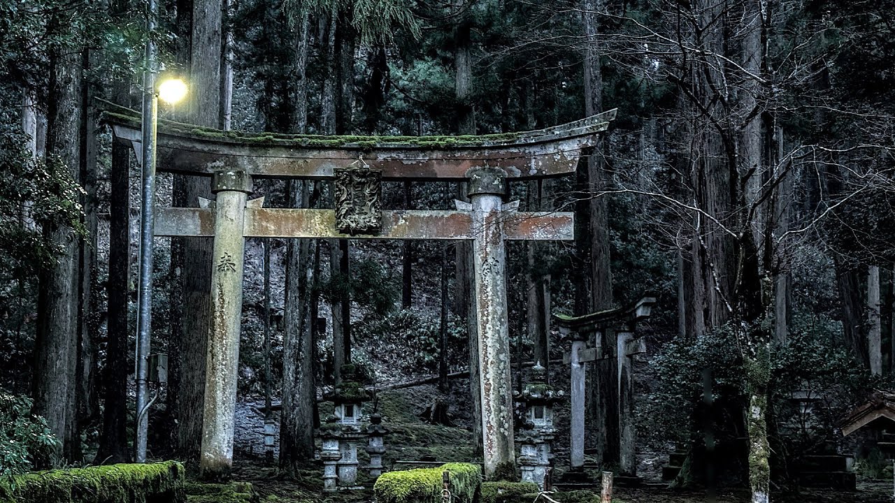 【まるで異世界】日本の美しすぎる寺社6選 / 幻想的な空間と神秘的なパワースポット / 死ぬまでに行きたい秘境の絶景、苔むした神社