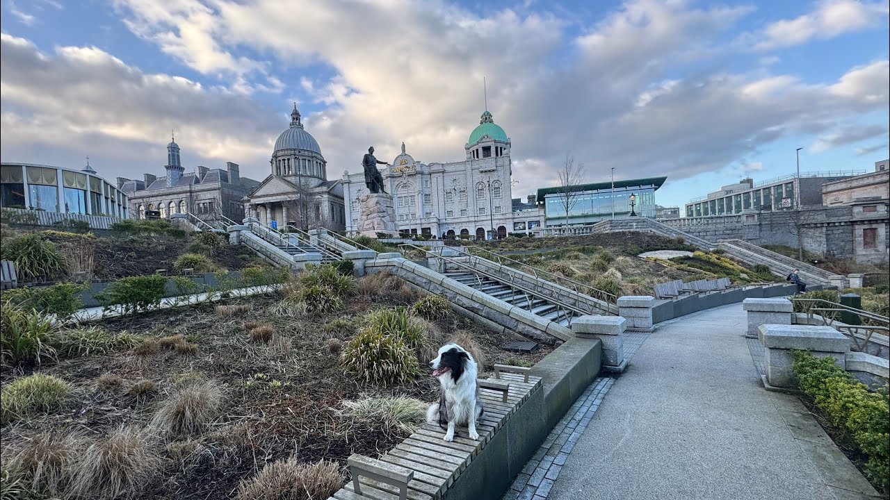 Franky goes to Aberdeen!