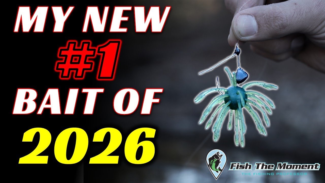 I’m Catching 30 Fish/Day on This Bait...