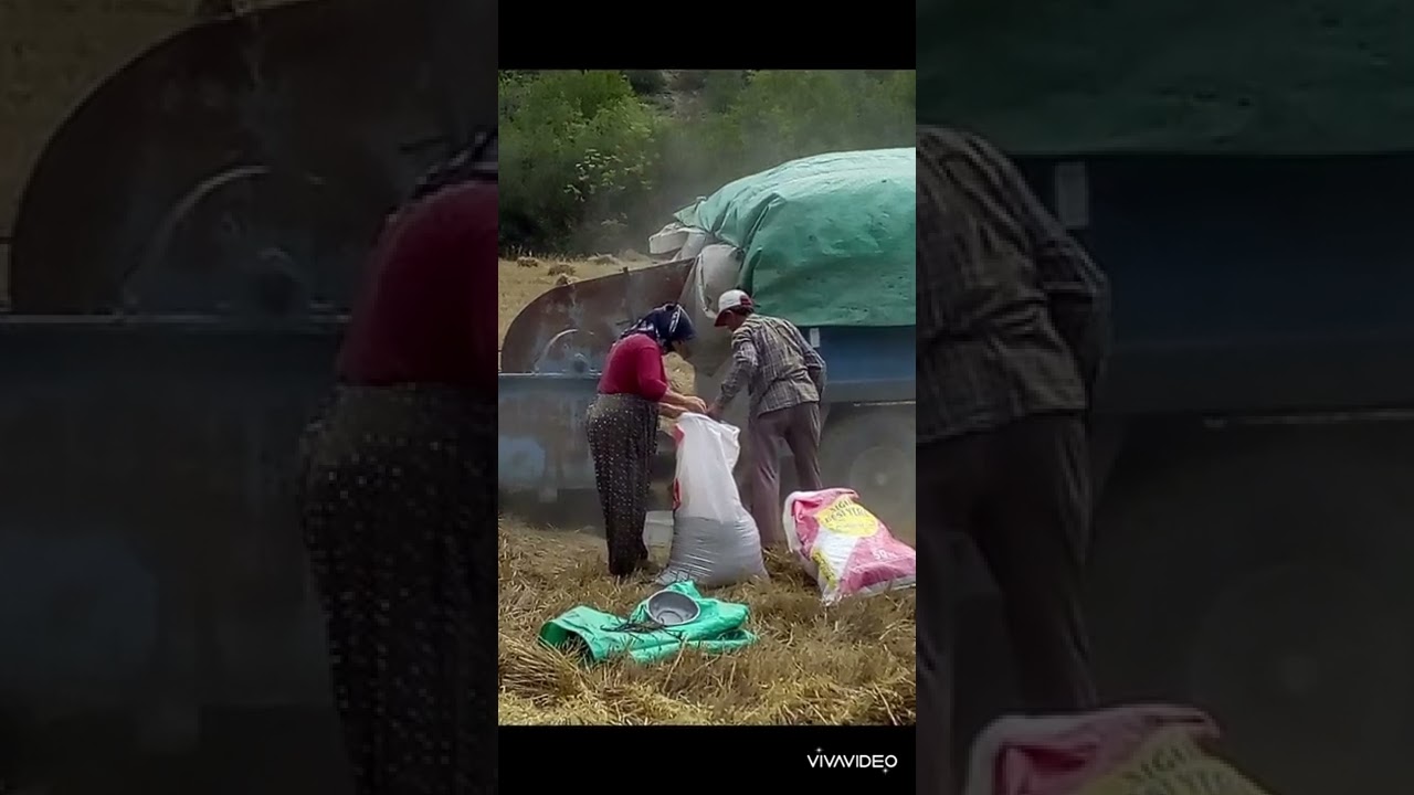 Vezirköprü Akören köyü