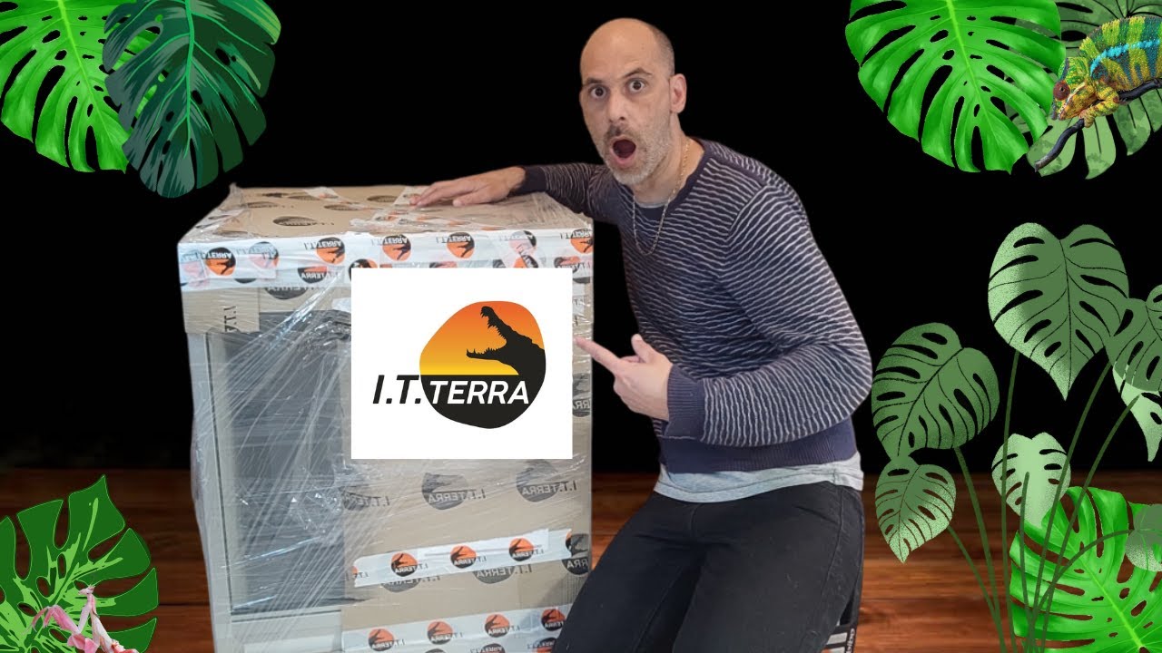 IT TERRA UNE NOUVELLE MARQUE DE TERRARIUM FRANCAIS